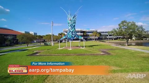 AARP Tampa Bay | Morning Blend