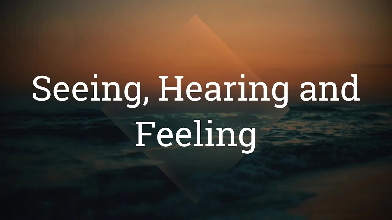 Seeing, Hearing, and Feeling