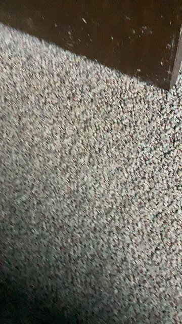 Diabolical villain laugh