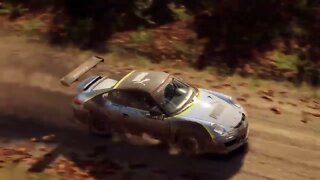 DiRT Rally 2 - Replay - Porsche 911 RGT Rally Spec at Beaver Creek Trail Forward