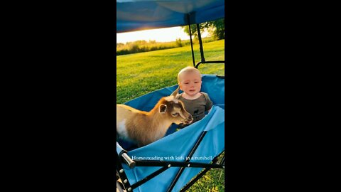 Baby👶🏼 & Toddler🐐