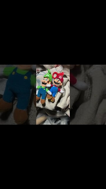 Why are Mario and Luigi in the Dumpster?