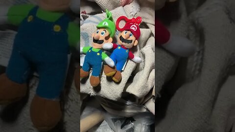 Why are Mario and Luigi in the Dumpster?