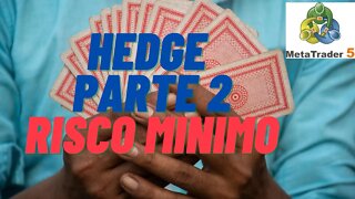 Hedge parte 2 - risco mínimo