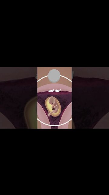 The Abortion Pill Has Killed Over 5.6 Million Babies In America. Time To ban It.