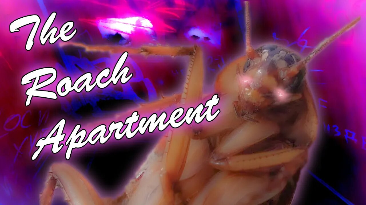 Hot Roaches Near You | The Roach Apartment - Indie Horror Game
