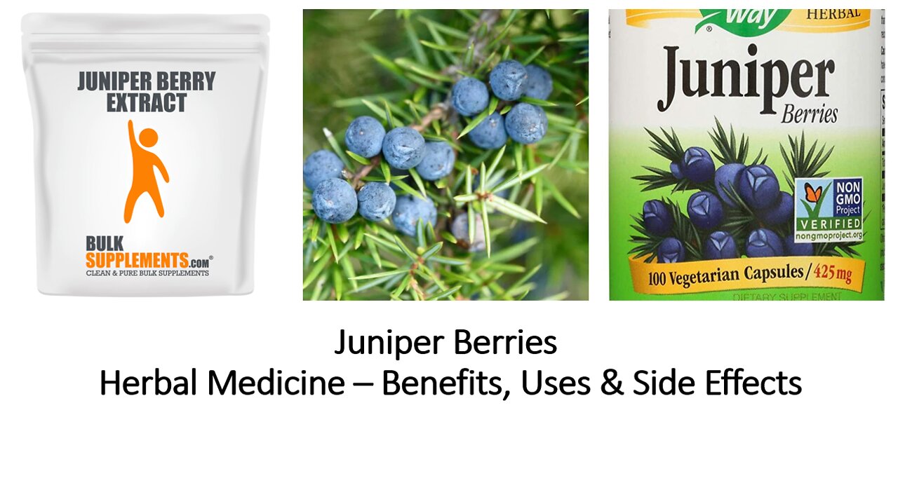Juniper - Herbal Medicine - Benefits, Uses & Side Effects