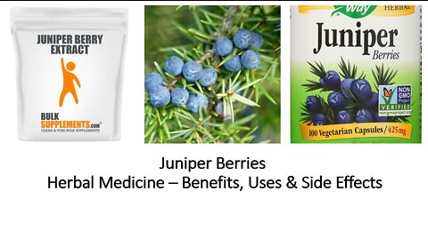 Juniper - Herbal Medicine - Benefits, Uses & Side Effects
