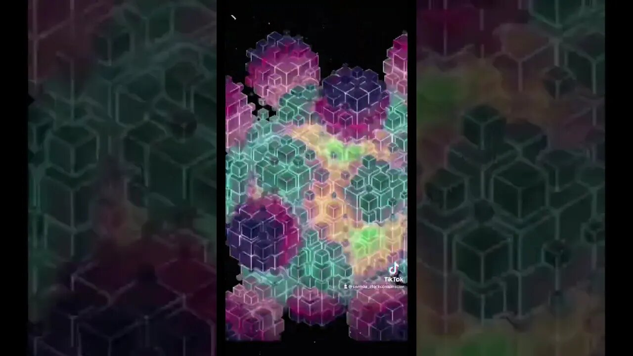 TRIPPY BITCH