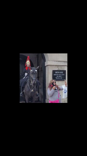 Horse bites her in the shoulder #horseguardsparade