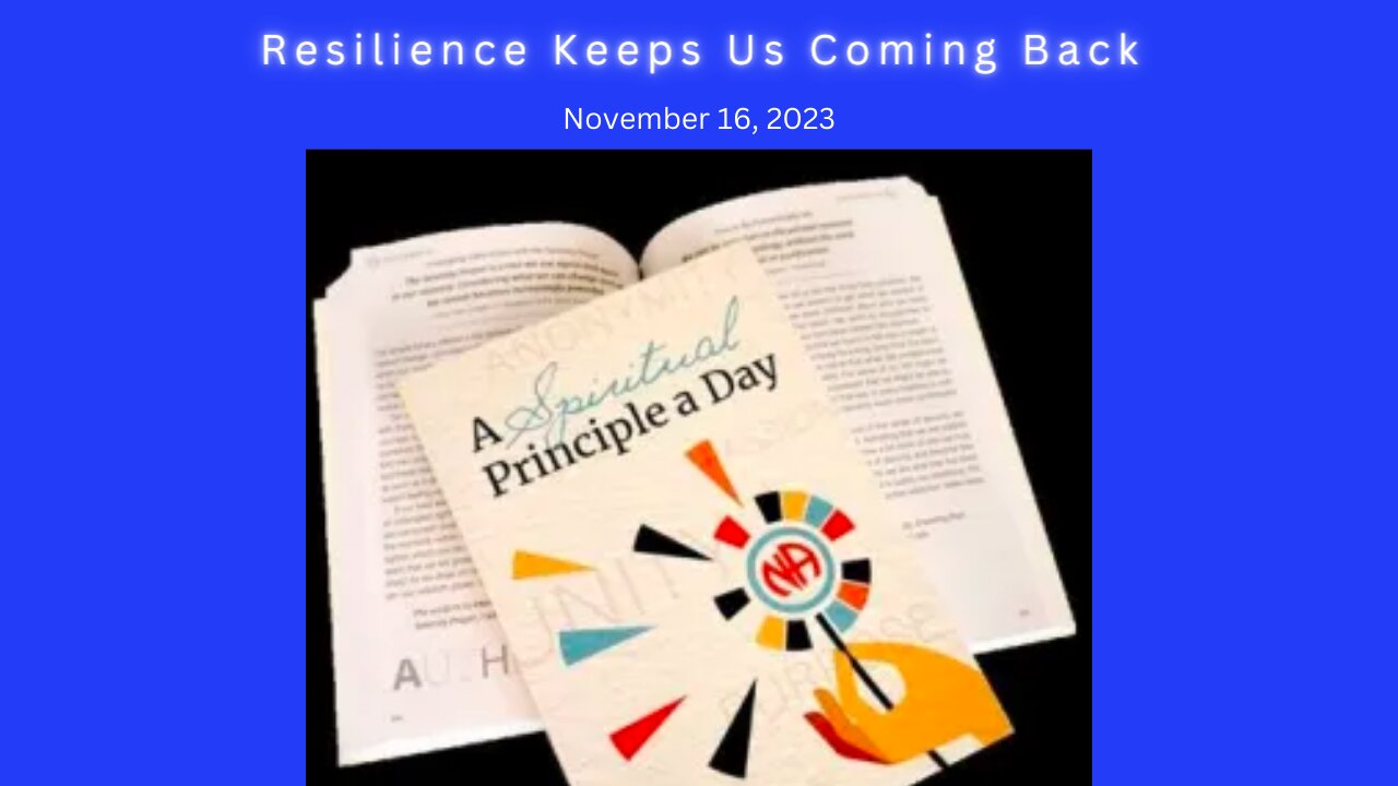 Spiritual Principle a Day - Resilience Keeps Us Coming Back - 11-16 #jftguy #na #spad