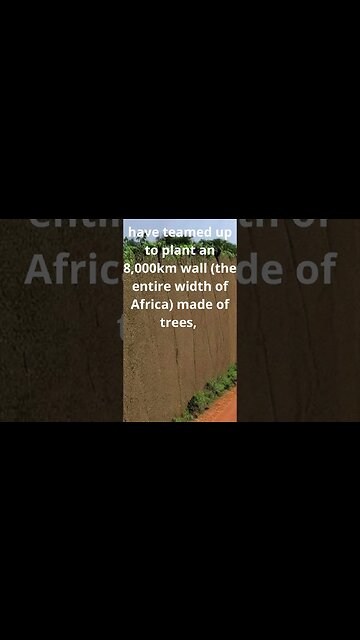 Over 20 African countries have teamed up to plant an 8,000km wall #shorts