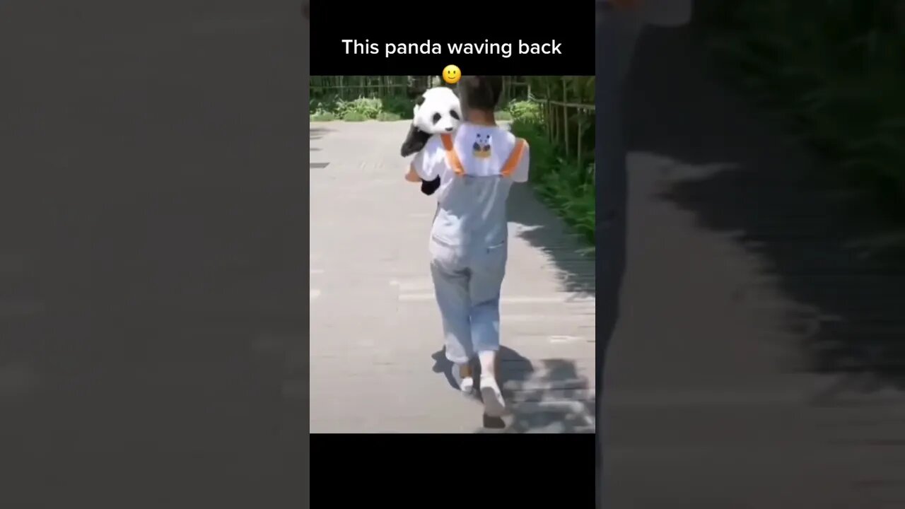 Baby Panda Waving back - cutest Panda on tiktok #shorts