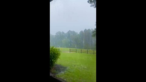 omg, lightning strikes the tree 😮😮😮