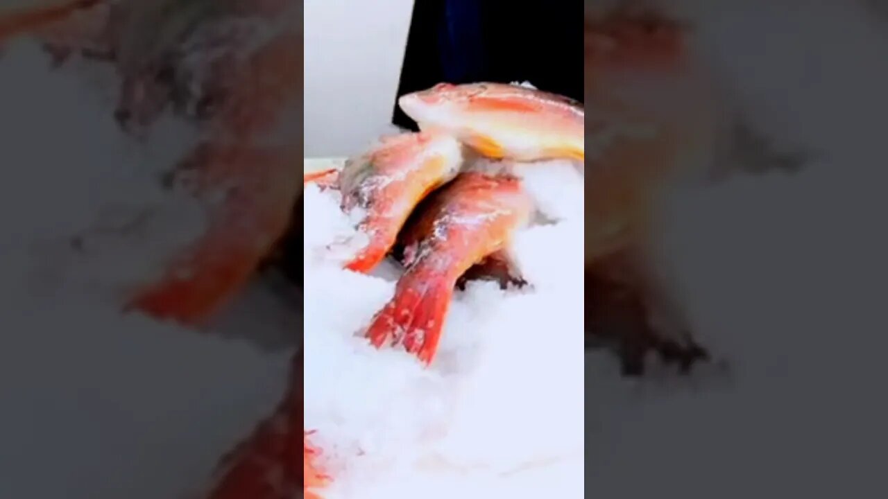 Fish Ice Bucket 😲 #shorts #shortsfeed