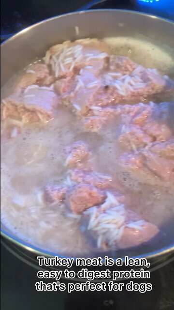 Homemade Ground Turkey And Rice Dog Food Recipe