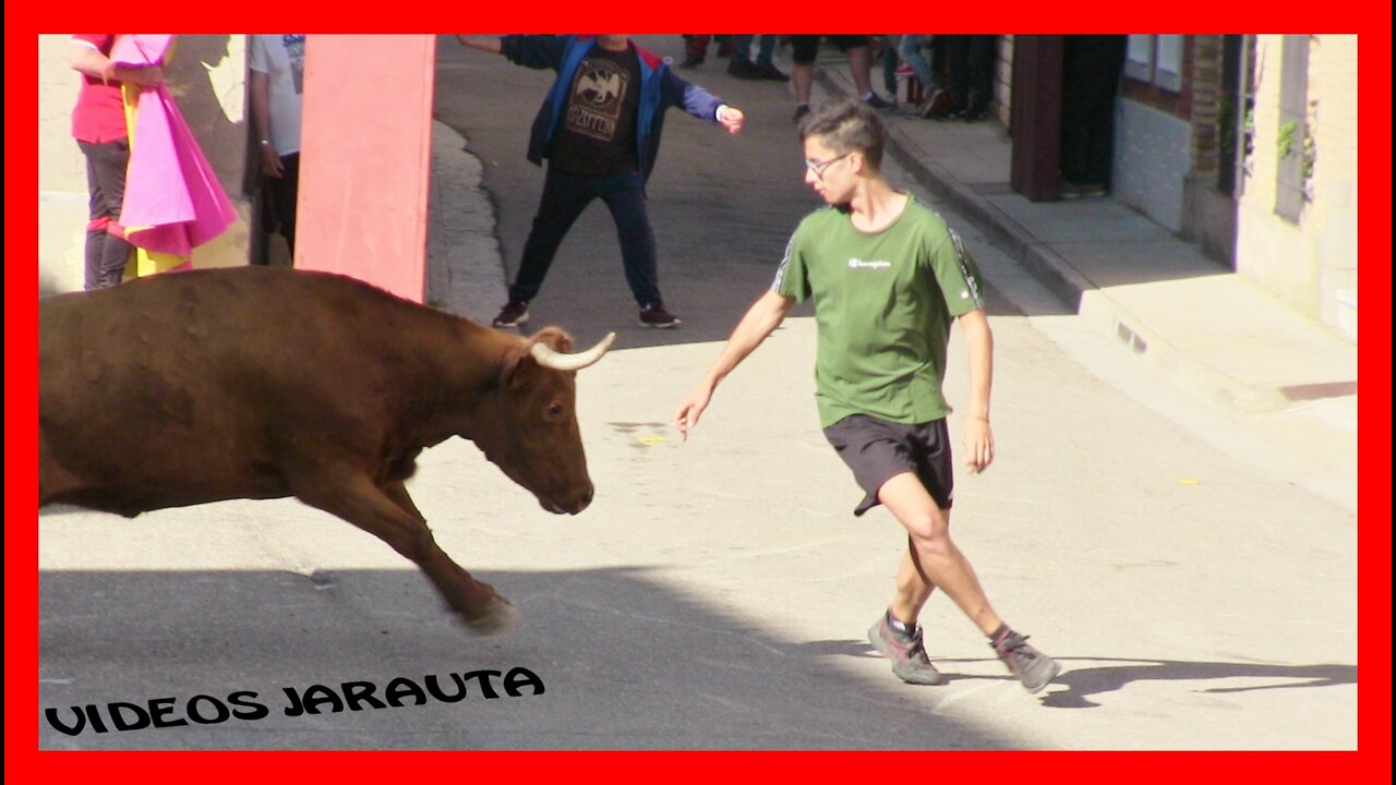 LUCENI ( ZARAGOZA ) TARDE VACAS CALLE ( DOMINGO 1 MAYO 2022 ) GNAD.ARRIAZU