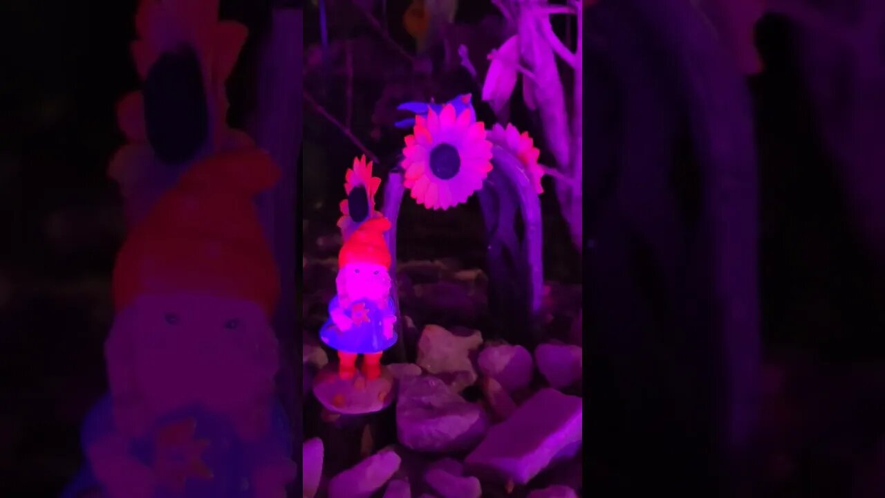 😴🥱😴Midnight in Gnome City😴🥱😴