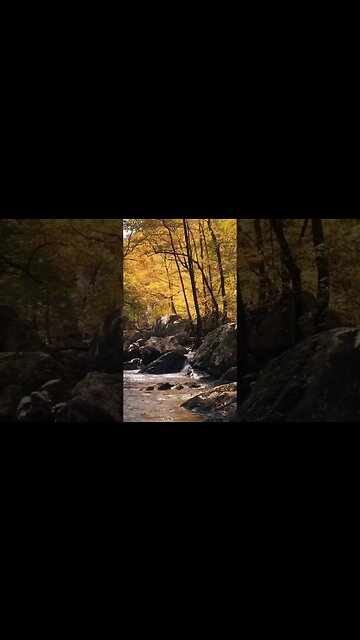 Buy & Stake Hex Today! Hex Daily Payouts Flow Like A Running River! #shorts