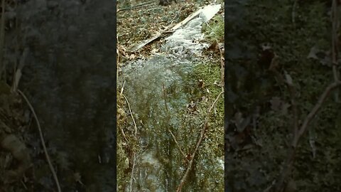 Our Fresh Water Spring in Arthaz, France