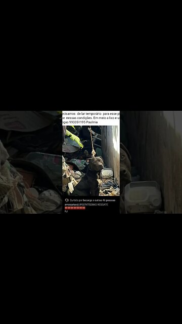 link fonte https://www.instagram.com/p/Cxb0koQuJx9/?igshid=MWZjMTM2ODFkZg==