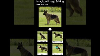 AI Image Editing - Imagic Highlights #shorts