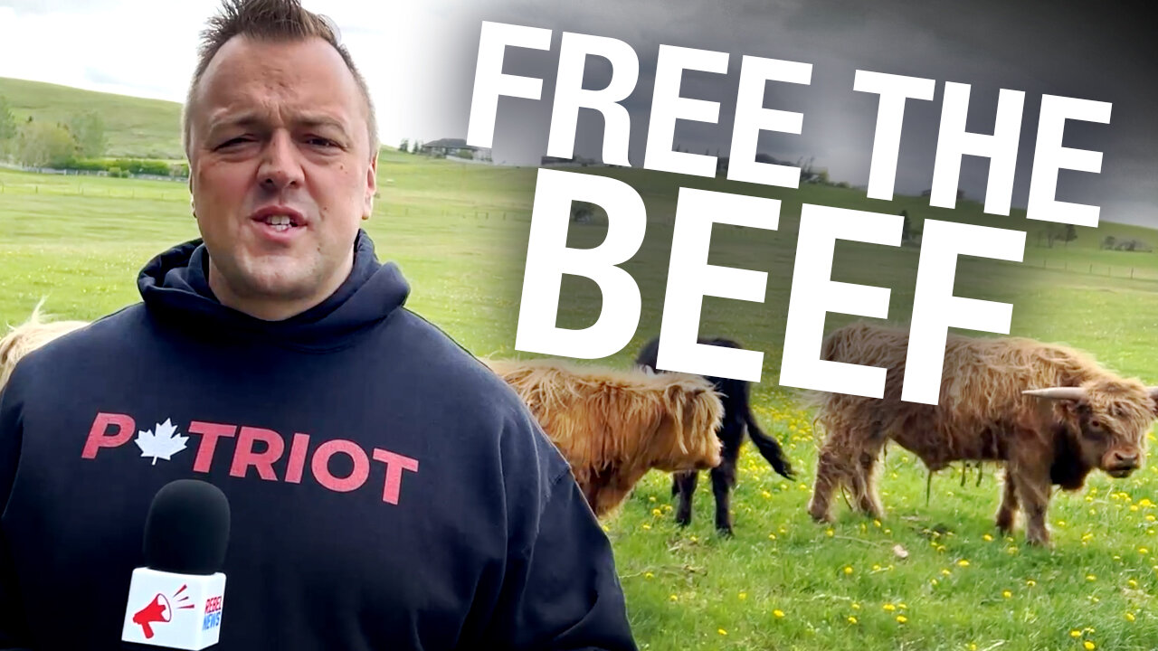Ground beef doesn't need a warning label — tell Health Canada to FREE THE BEEF!