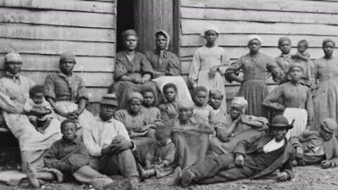 Did Slavery Make America Rich?