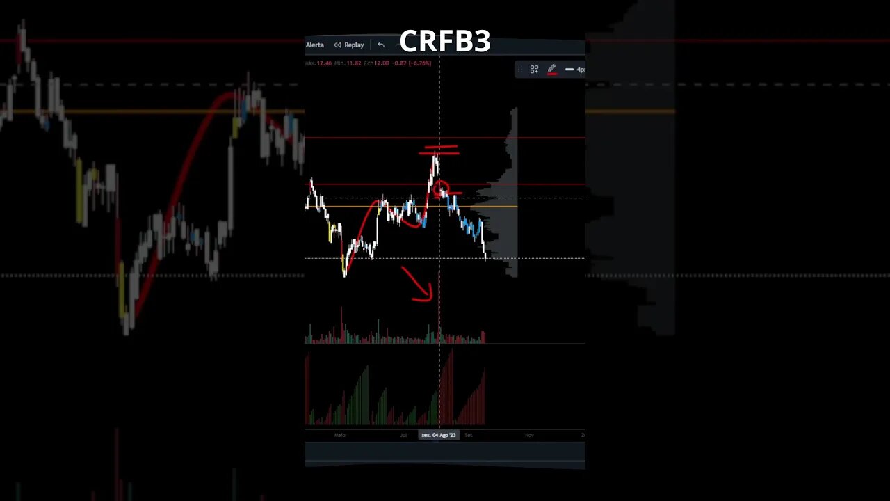 CARREFOUR EM QUEDA ! #crfb3