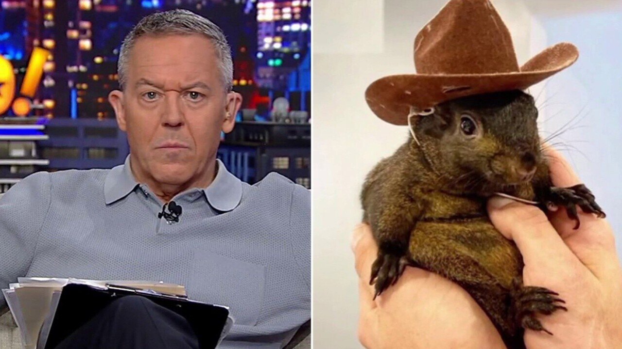 Greg Gutfeld: New York State Officials Antagonized A Terrified Squirrel