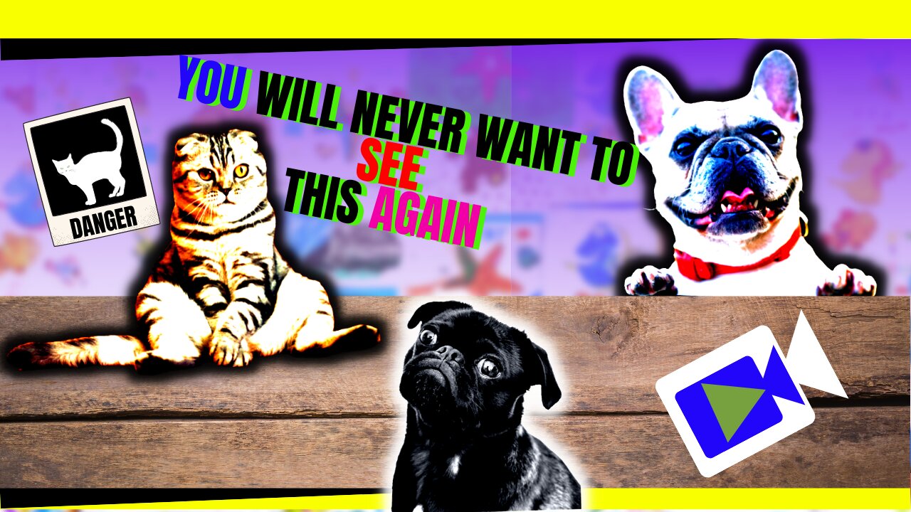 #10-🌏FUNNIEST ANIMALS FAIL! - Try not to 😹laugh CHALLENGE!♟