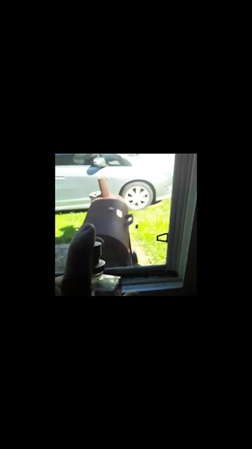 Spraying a Stinkbug with Cologne