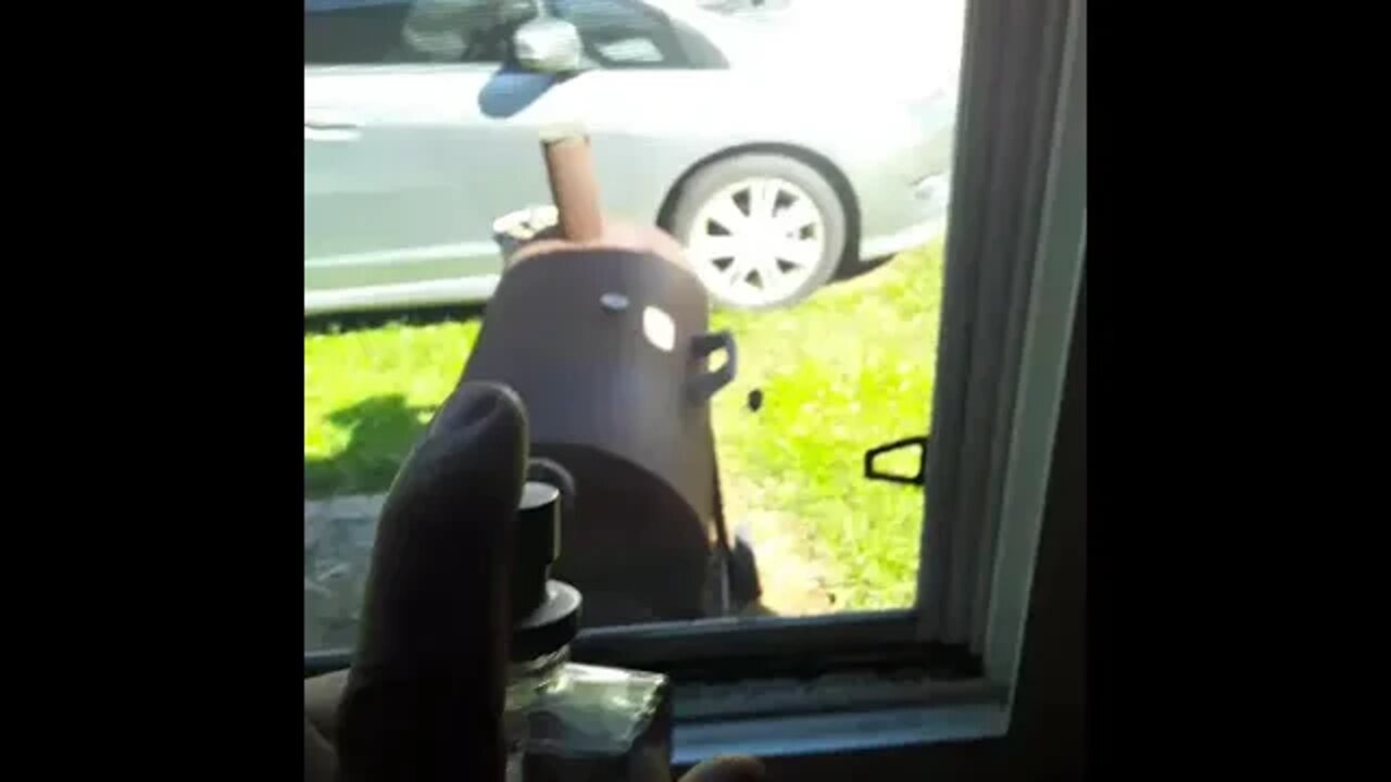 Spraying a Stinkbug with Cologne