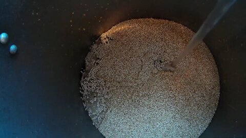 TexasBoys make quioa for the Chickens!