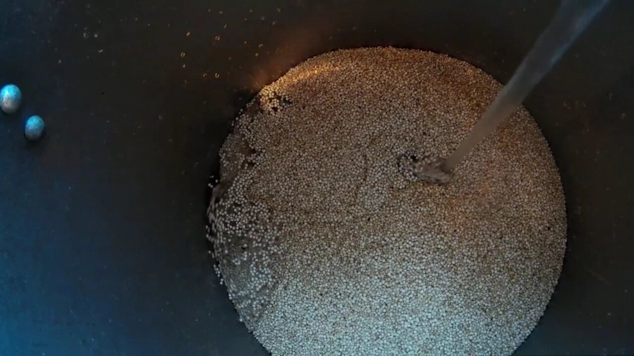 TexasBoys make quioa for the Chickens!