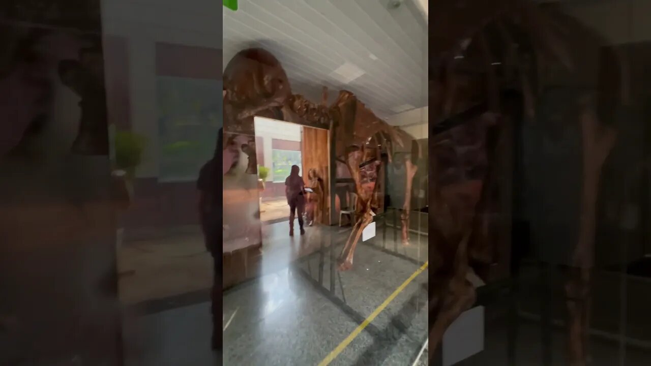 Museu de História Natural de Brasília