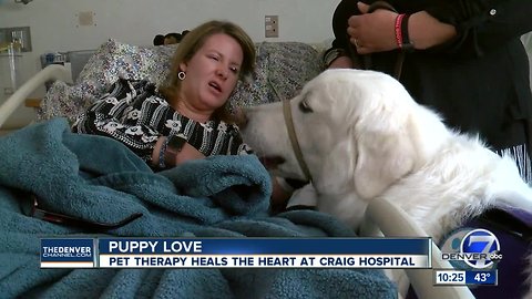 Pet therapy animals bring smiles to the faces of patients at Craig Hospital