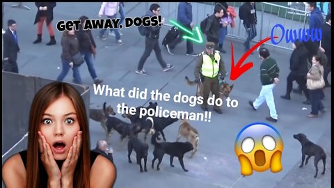 MUST SEE!! POLICE DOG ATTACKED BY PACK OF STRAY DOGS 😱