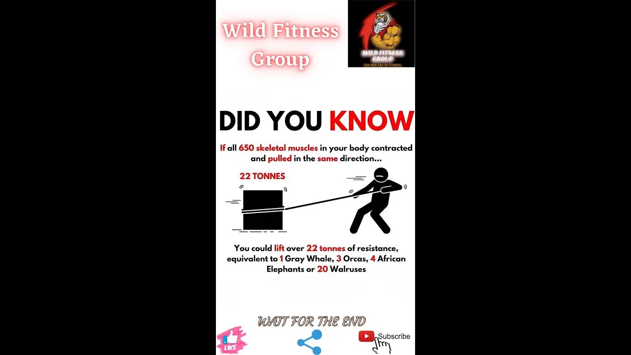 🔥Did you know about the power of your muscles🔥#shorts🔥#viralshorts🔥#fitnessshorts🔥#wildfitnessgroup🔥