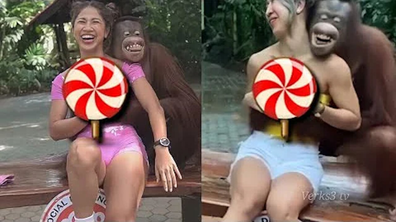 NAUGHTY ORANGUTAN PART 2