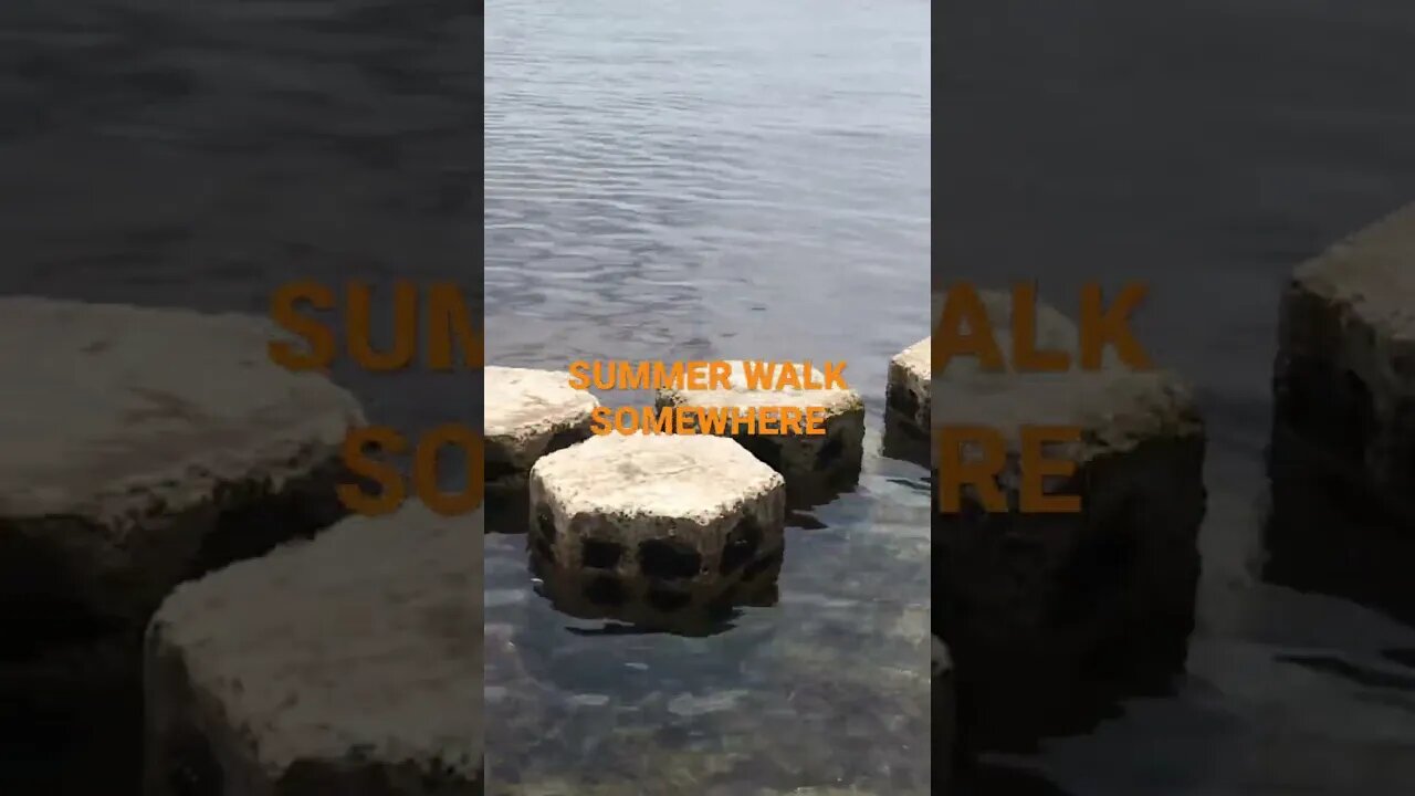 SUMMER WALK SOMEWHERE
