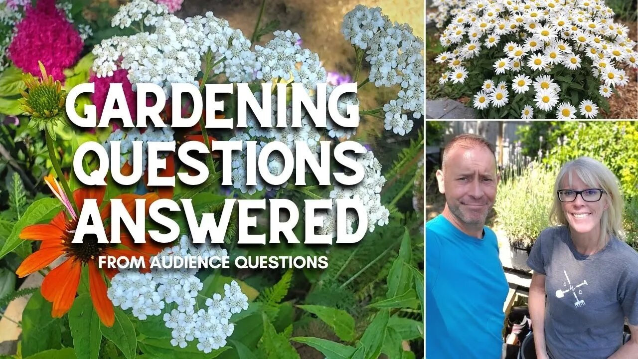 Your Garden Care Questions Answered 🌿👍