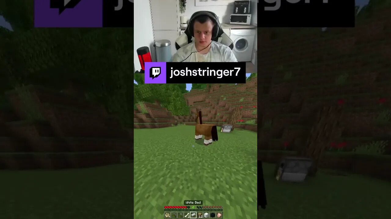 This went too fr 😱😂#5tringer #minecraft #minecraftpocketedition #twitch #shorts