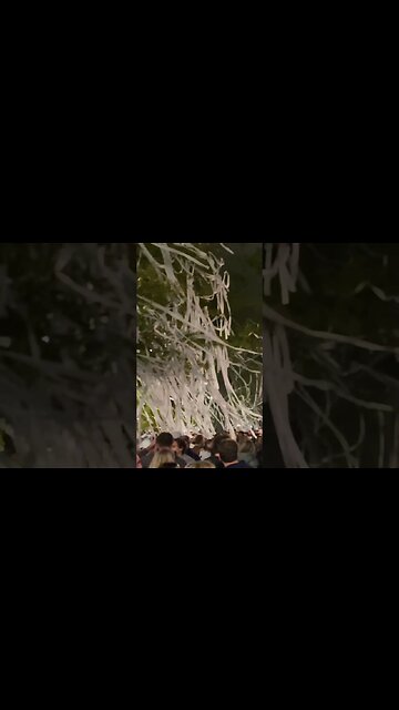 Countdown to Auburn Football: 10 Days! | #auburnfootball #auburn #collegefootball