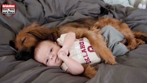 BABIES AND DOGS - UNCONDITIONAL LOVE