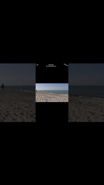 A Horse's Resting Respiratory Rate Is About 8 14 Breaths per Minute #horse #shorts