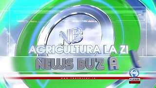 Studio - TV NEWS BUZAU - LIVE