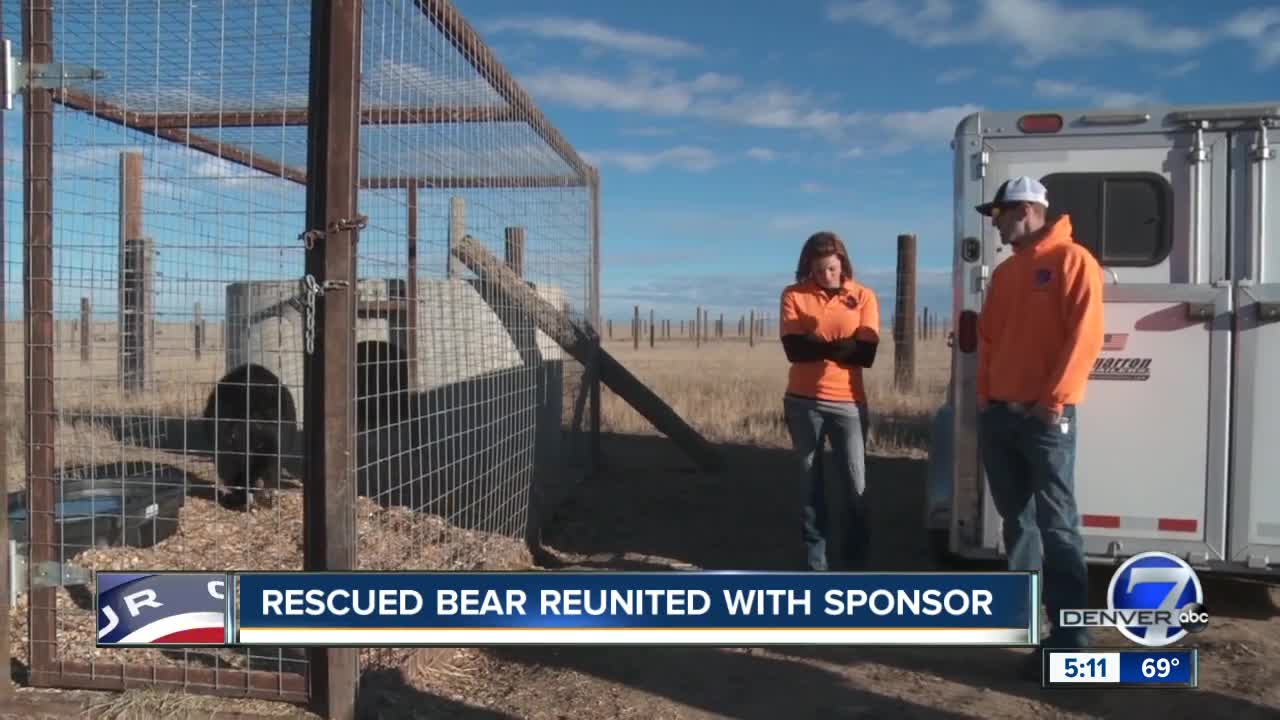 Woman reunited with black bear she helped rescue from cage