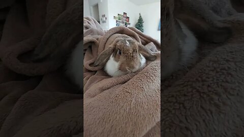 You Resting