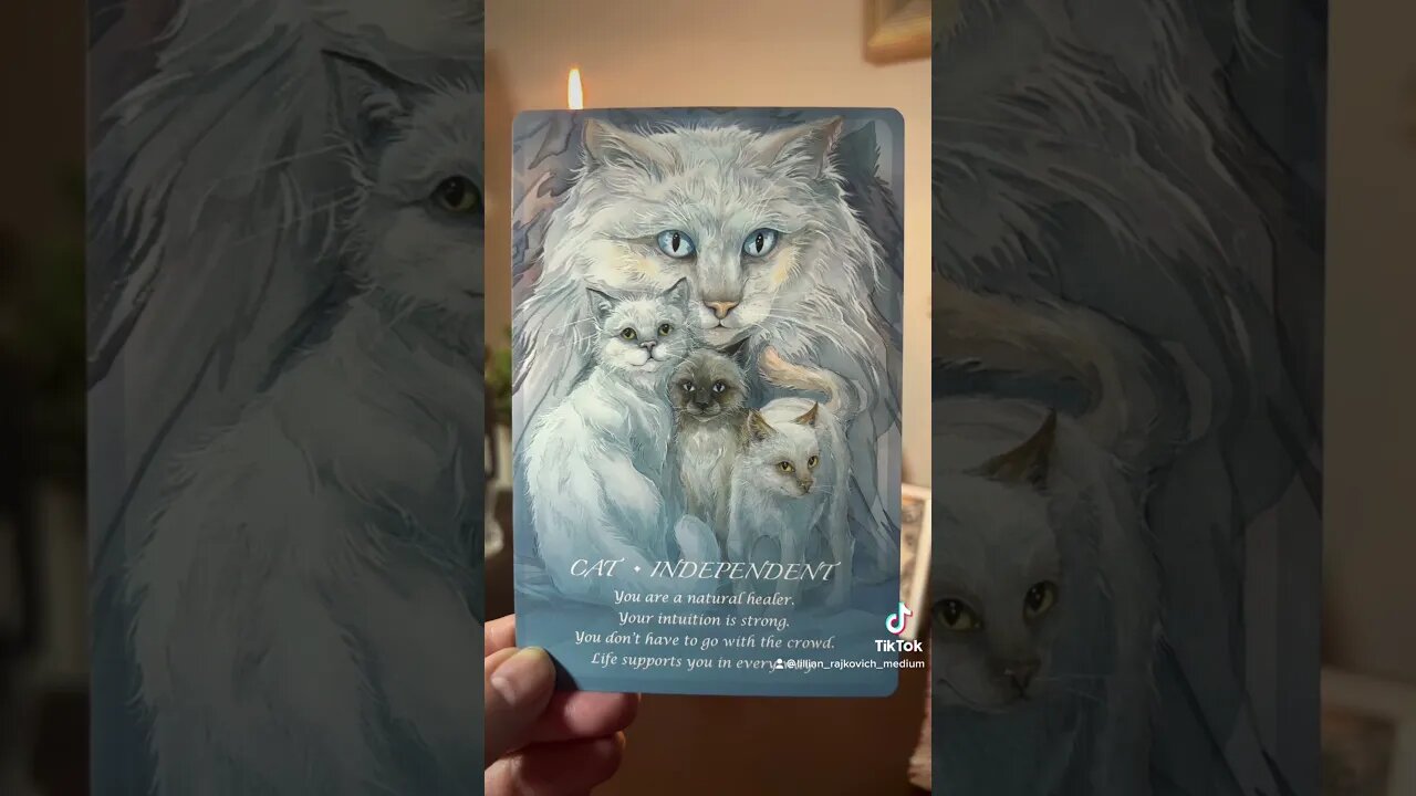 Animal Oracle Message